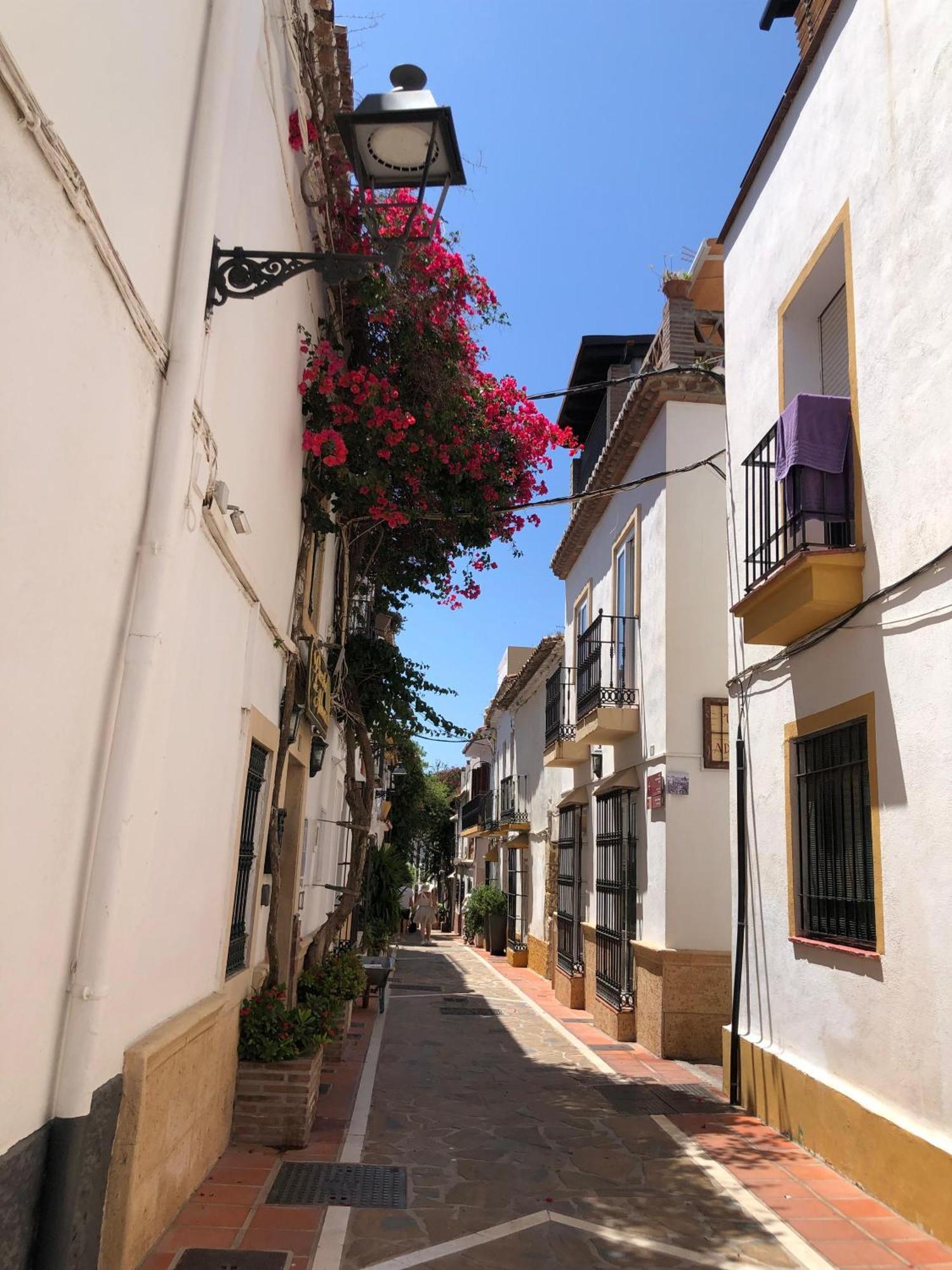 Estudio Mariluz Marbella Dış mekan fotoğraf